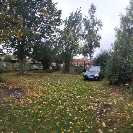 Lejlighed Joli T3 Avec Jardin Saint-Gaudens (Haute-Garonne)